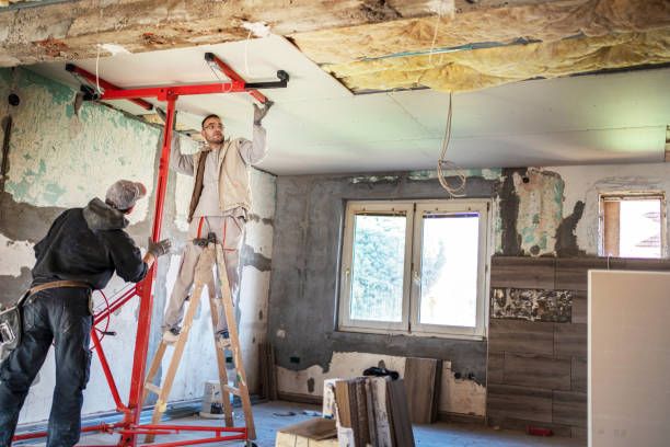 Best Cellulose Insulation in Morse, LA