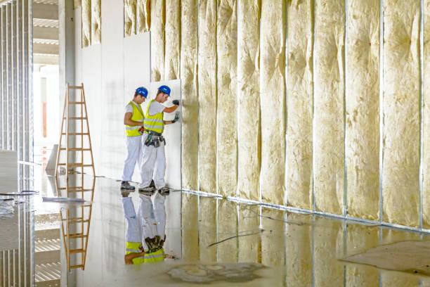 Types of Insulation We Offer in Morse, LA
